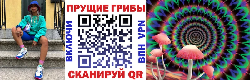 это клад  наркошоп  Поворино  Псилоцибиновые грибы MAGIC MUSHROOMS 
